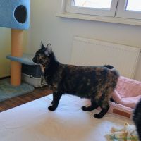 Flomma_22
