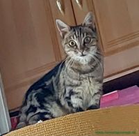 Frieda_21