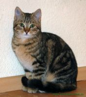 Fritzi_1