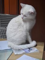 Frosty_22