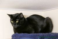 Salem_5
