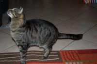 Fynn_u._Milou_3