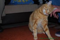 Fynn_u._Milou_4