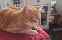 Jens_21