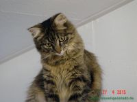 Jule_2