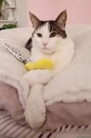 Katerchen_21