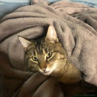 Katerchen_2