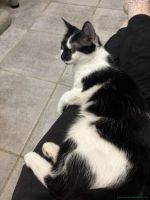 Lindi_4
