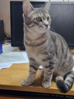 Lothar