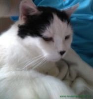Max_2