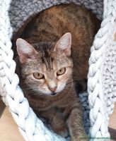 Mia