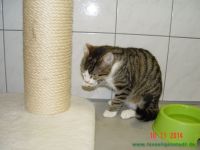 Mike_1