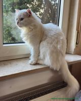 Milow_22