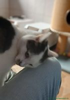 Nadira_2
