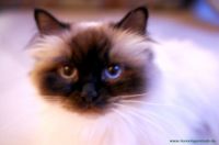 Nina_5