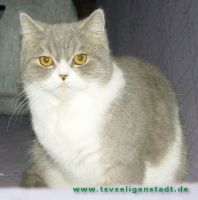 Püppi_4
