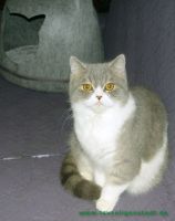 Püppi_2