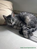 Floeckchen_Tigger_4