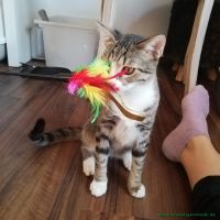 Tilly_4