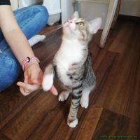 Tilly_2