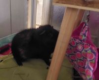 Edgar4