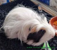 Kristall_1
