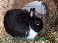 Lotti_und_Kalle_6