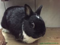 Lotti_und_Kalle_2