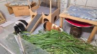 Bild_1