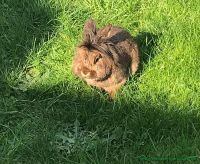 Norbert_2