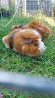 Spike_1