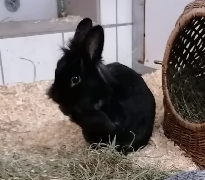 Tina