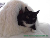 Sammy_31