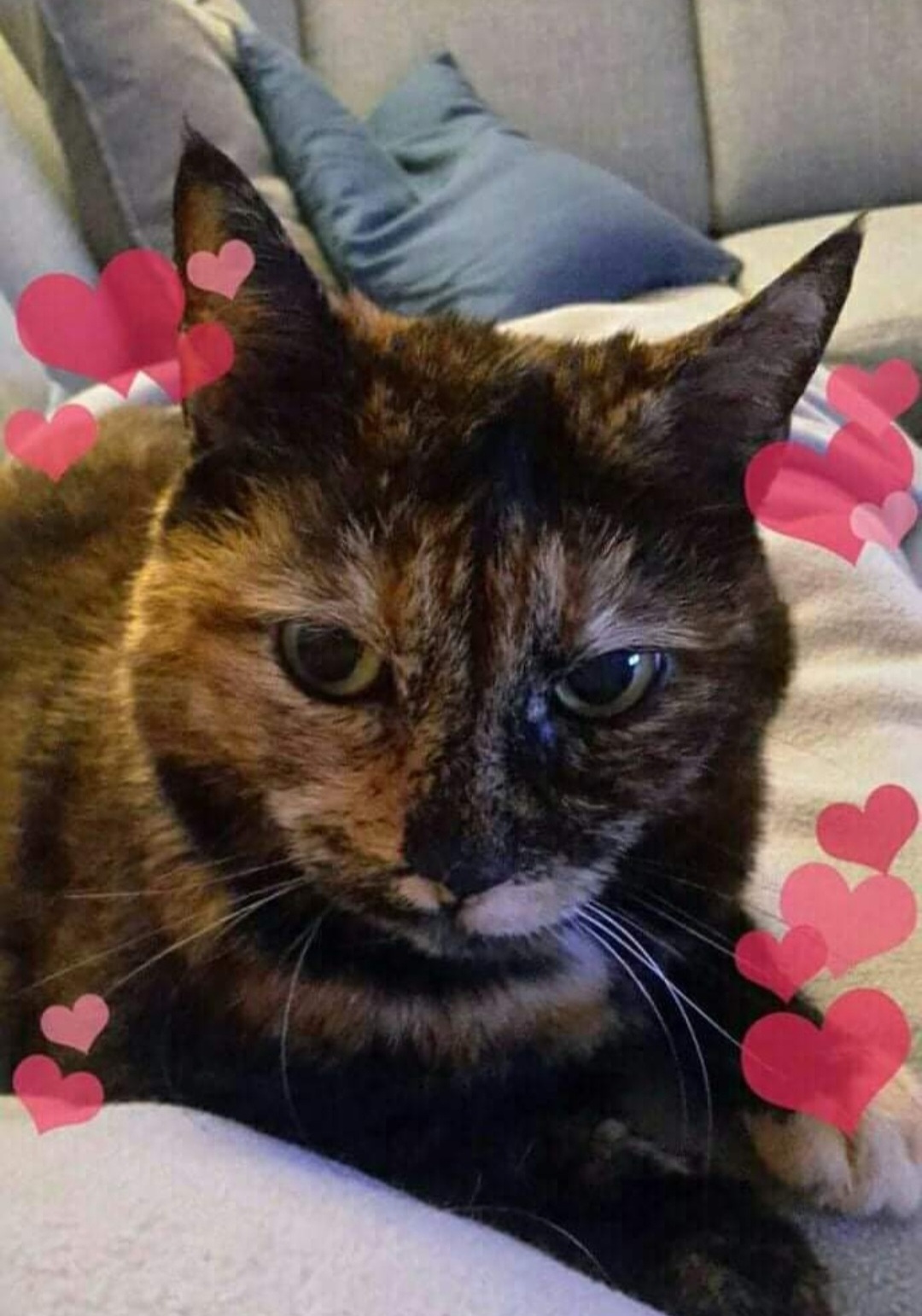 Ella