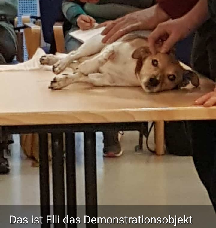 1 Hilfe Kurs 3