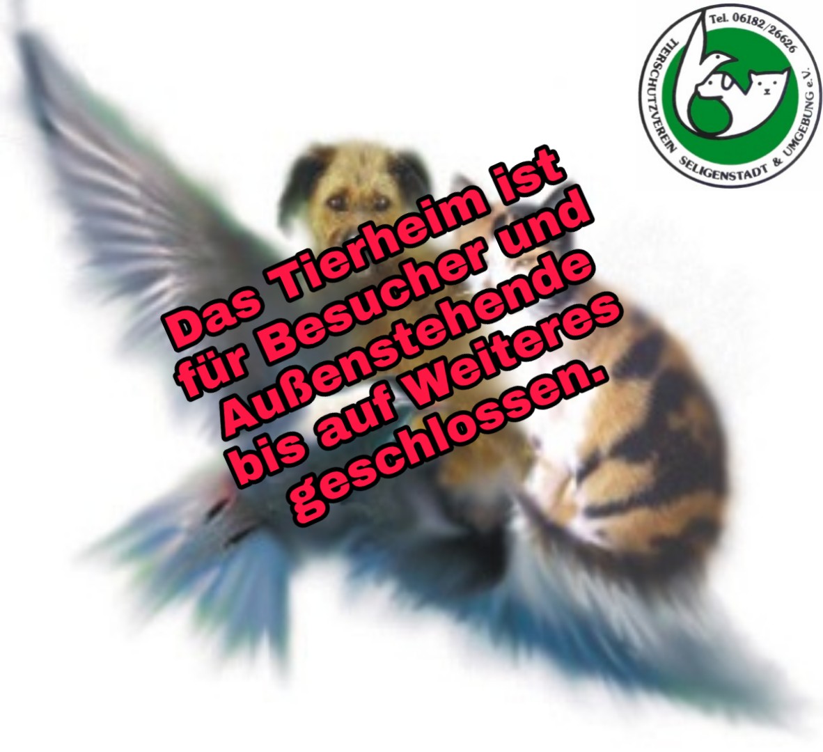 Tierheim geschl 2020 03 13