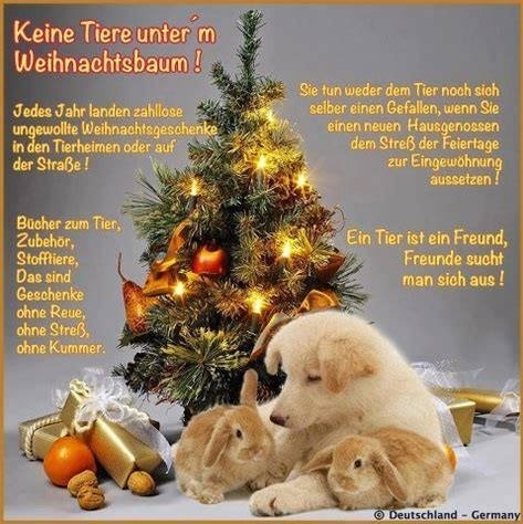 Xmas tree 2018