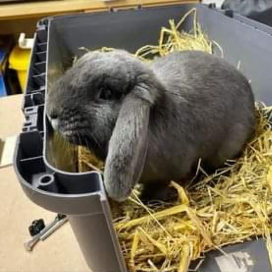Brösel