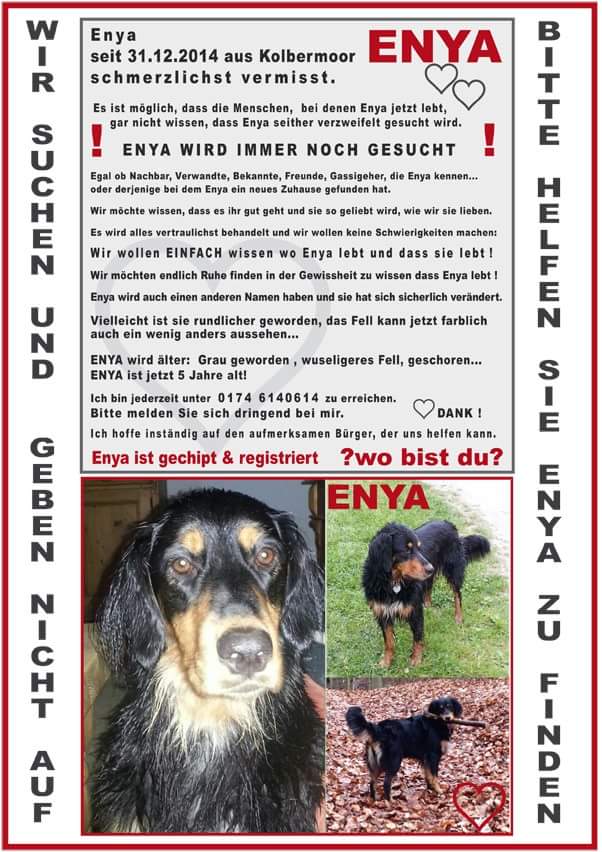 Enya
