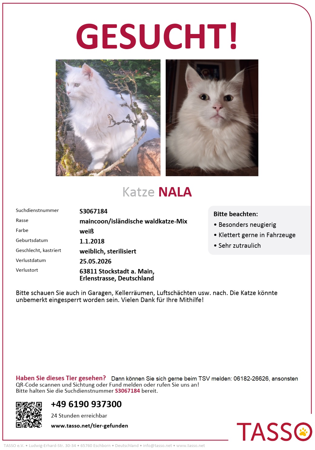 Nala Tasso