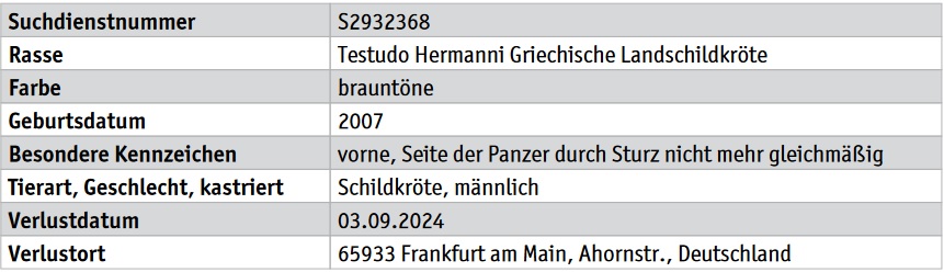 Schildi Tasso